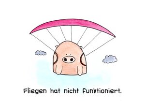 Fliegen hat nicht funkioniert