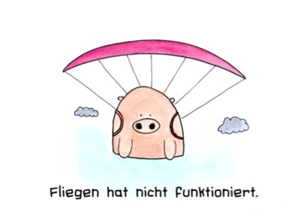 Fliegen hat nicht funkioniert