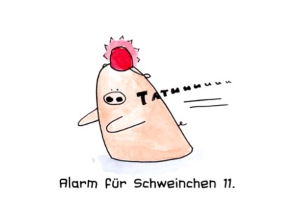 Alarm für Schweinchen 11