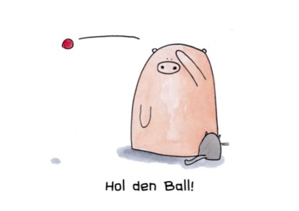 Hol den Ball