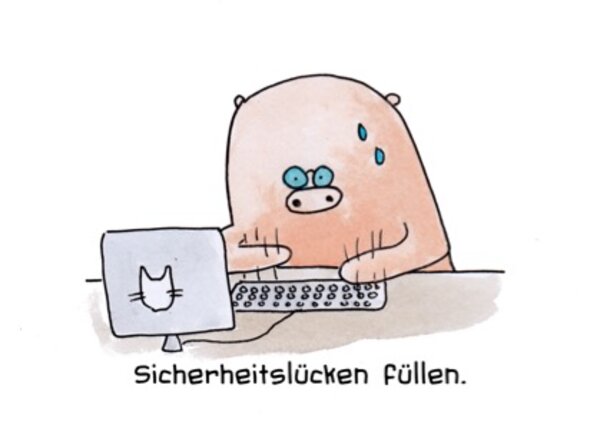 Sicherheitslücken füllen