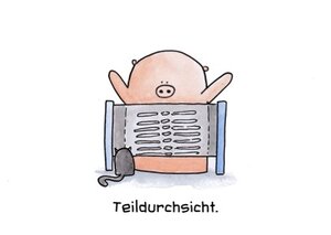 Teildurchsicht