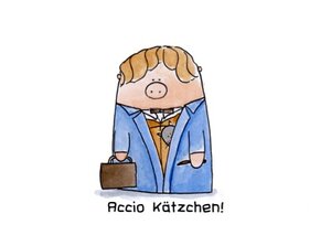 Accio Kätzchen
