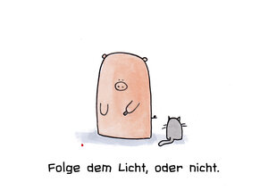 Folge dem Licht, oder nicht