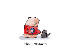 Elektrokatisch