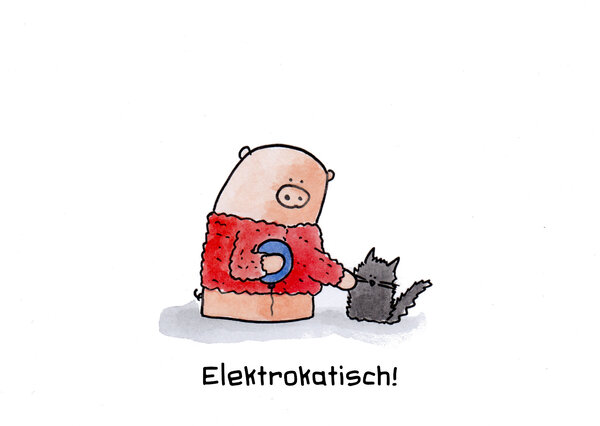Elektrokatisch