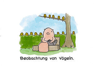 Beobachtung von Vögeln