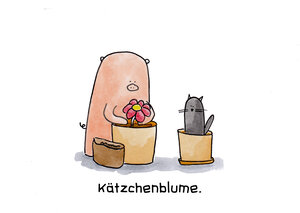 Kätzchenblume