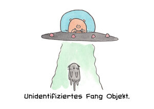 Unidentifiziertes Fang Objekt