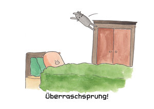 Überraschsprung