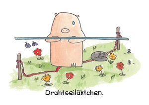 Drahtseiläktchen
